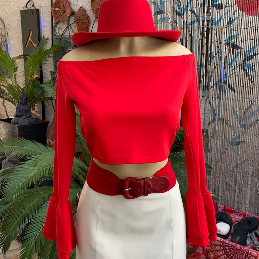 ❣️❣️RED LONG SLEEVE CROP TOP❣️❣️